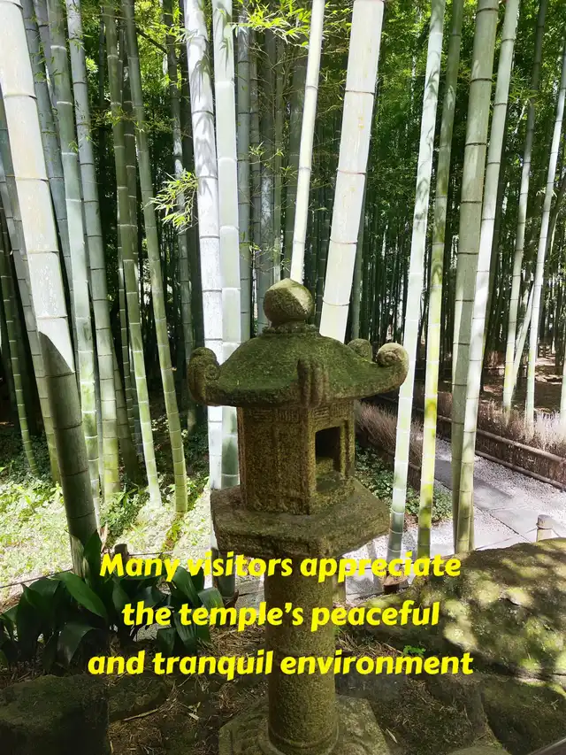 HOKOKUJI TEMPLE- Things you need to know